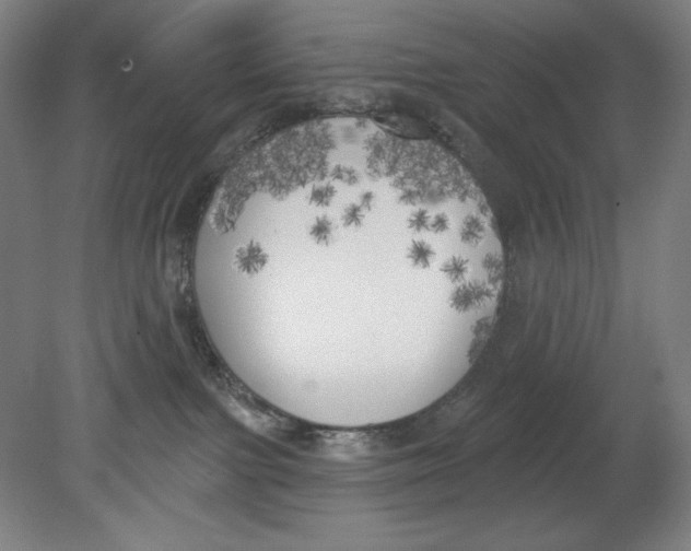 X0000080670091200701051019