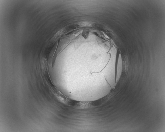 X0000080670093200701051019