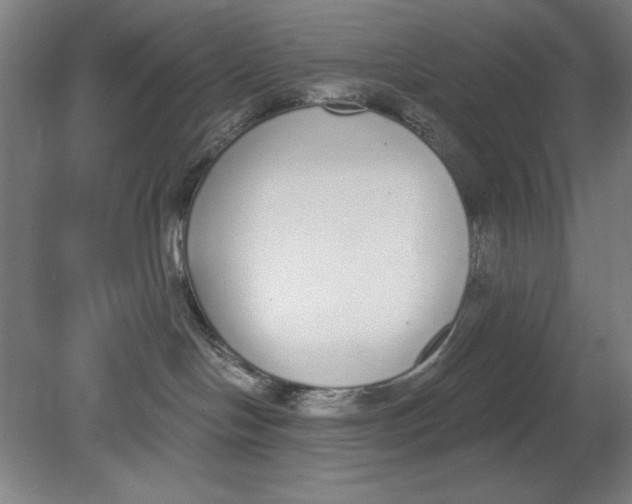 X0000080670094200701051019