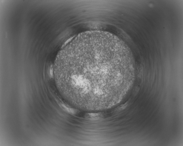 X0000080670095200701051019