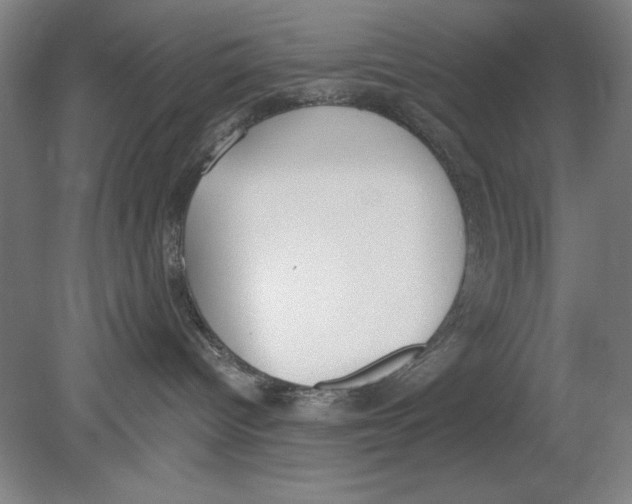 X0000080670096200701051019