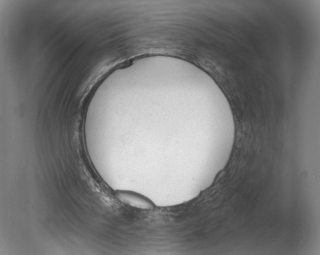 X0000080670098200701051019