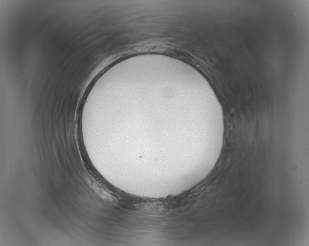 X0000080670100200701051019