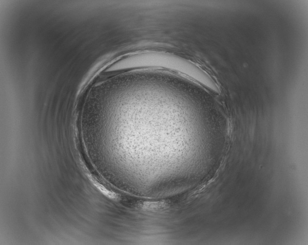 X0000080670101200701051019