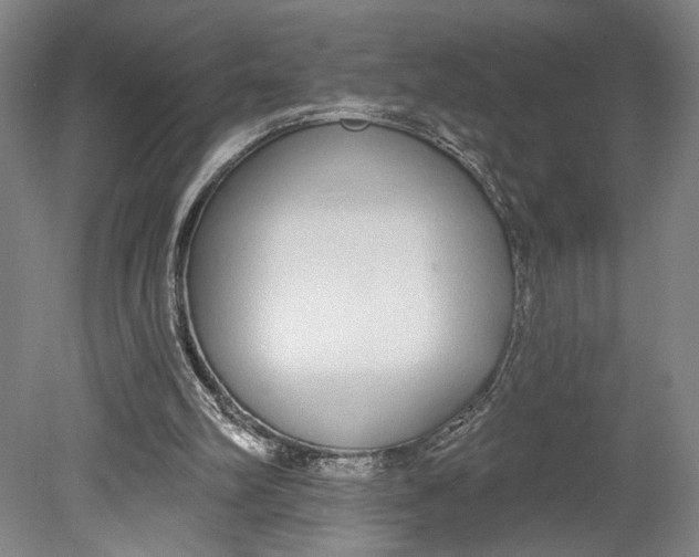 X0000080670102200701051019