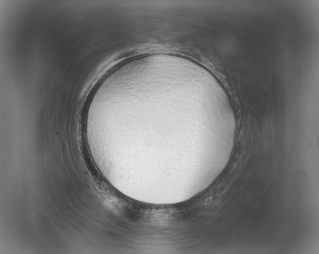 X0000080670103200701051018