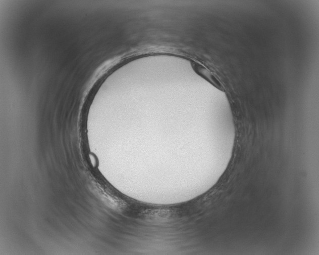 X0000080670104200701051018