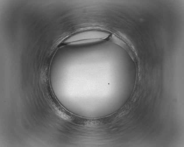 X0000080670105200701051018