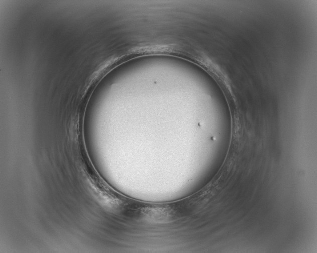 X0000080670107200701051018