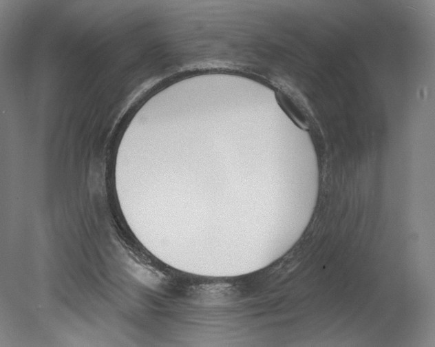 X0000080670108200701051018