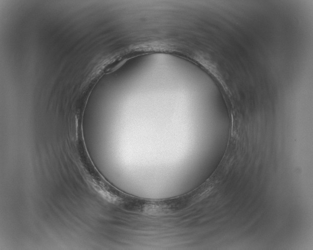 X0000080670109200701051018