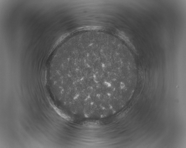 X0000080670110200701051018