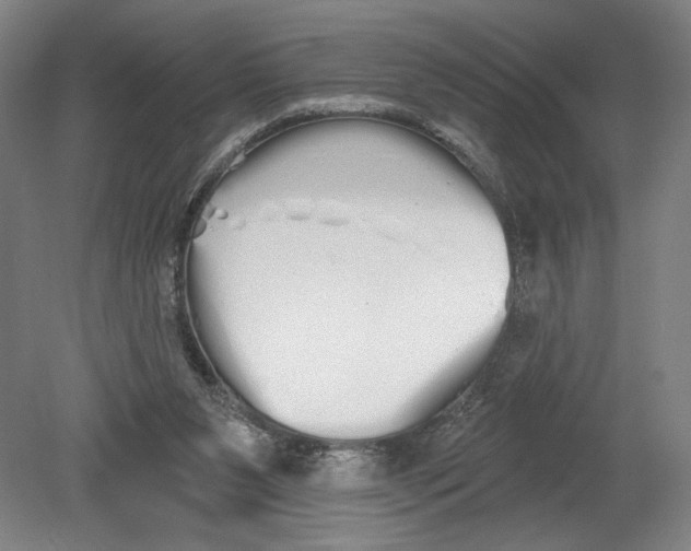 X0000080670111200701051018