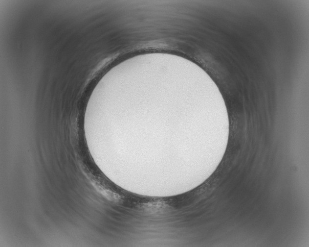 X0000080670112200701051018