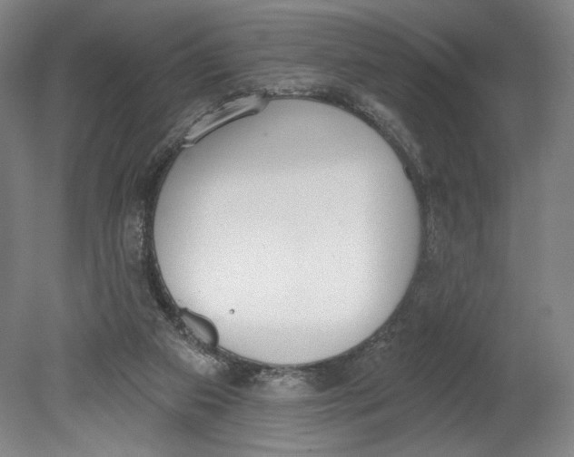 X0000080670113200701051018