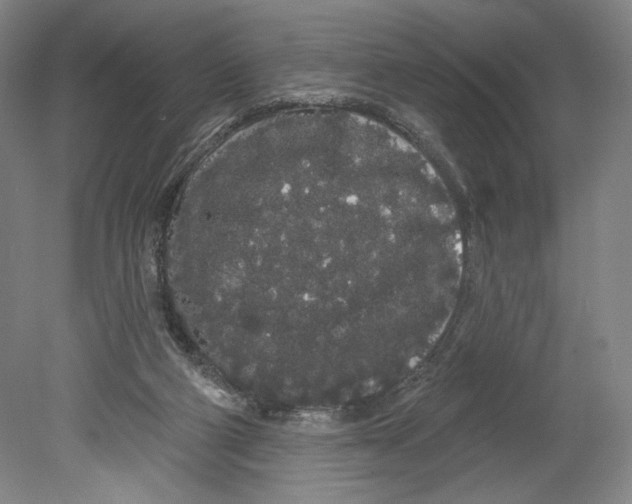 X0000080670114200701051018