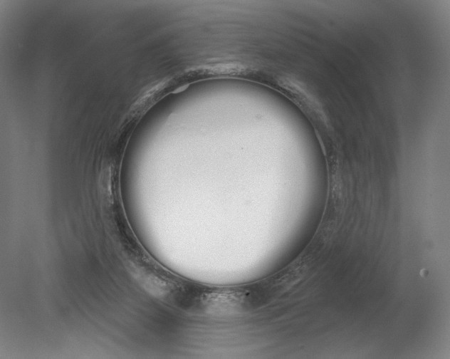 X0000080670115200701051018