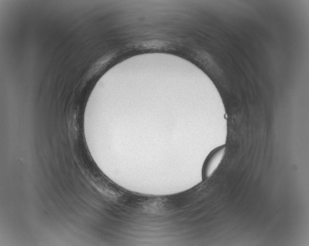 X0000080670116200701051018