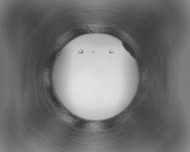 X0000080670121200701051018