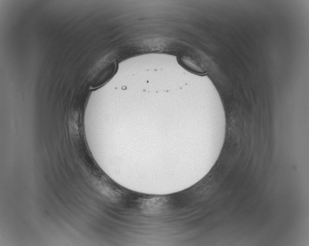 X0000080670122200701051018