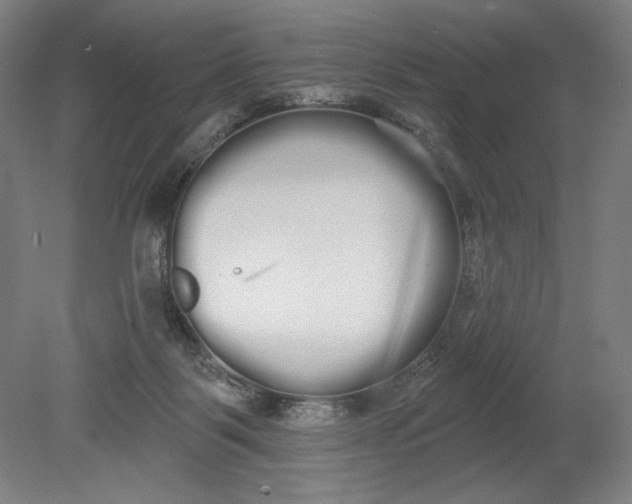 X0000080670123200701051018