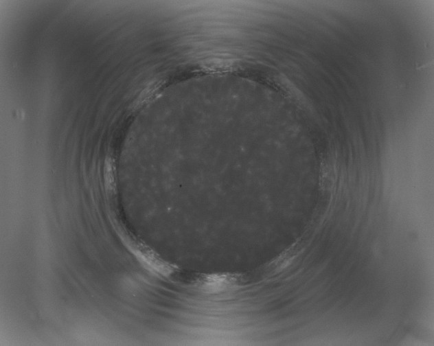 X0000080670130200701051018