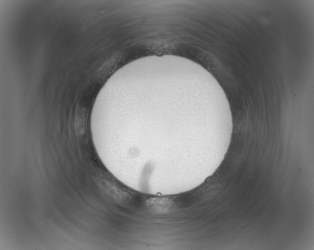 X0000080670133200701051018