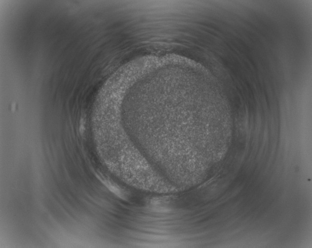 X0000080670134200701051018