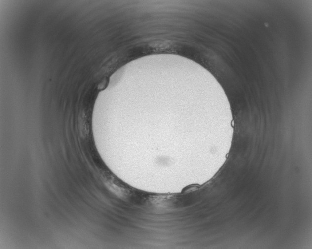 X0000080670136200701051018