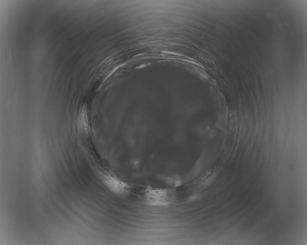 X0000080670143200701051018