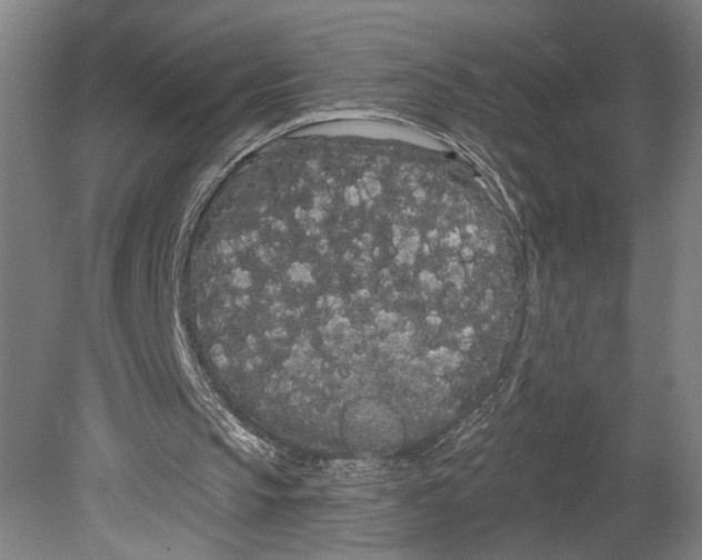 X0000080670145200701051017