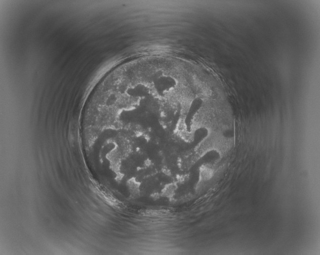 X0000080670147200701051017