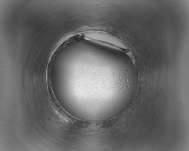 X0000080670148200701051017