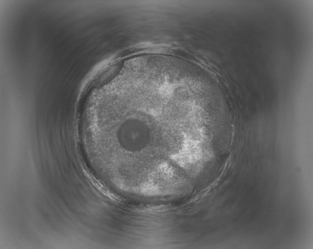 X0000080670149200701051017