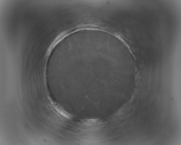 X0000080670151200701051017