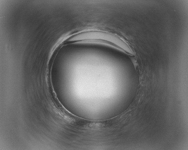 X0000080670152200701051017