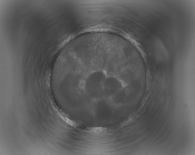 X0000080670153200701051017