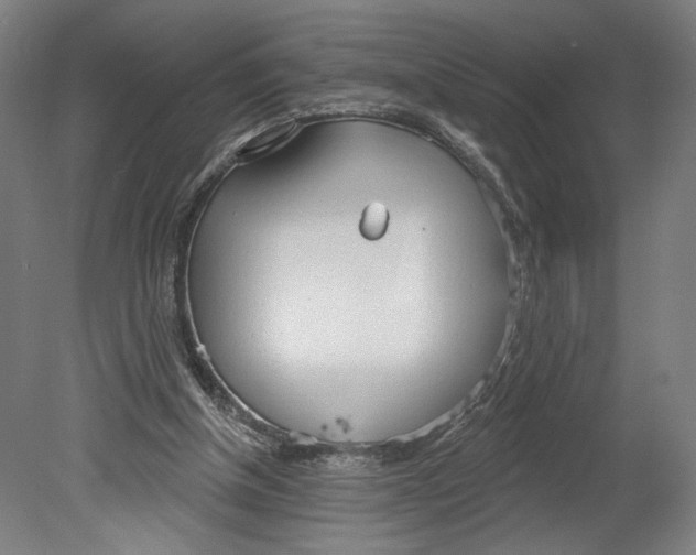 X0000080670154200701051017