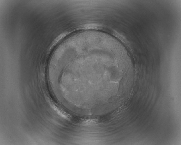 X0000080670155200701051017