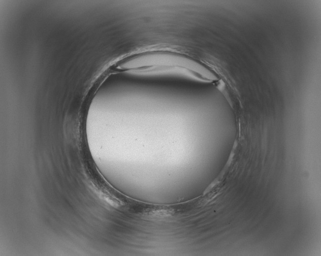 X0000080670156200701051017