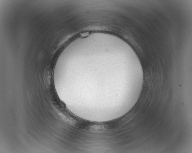 X0000080670160200701051017