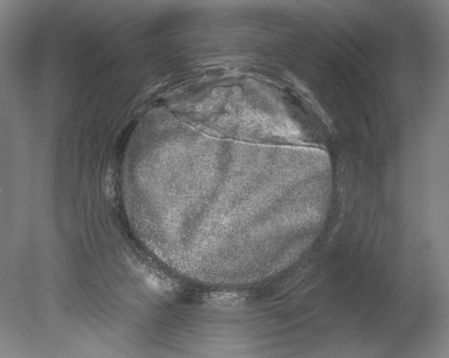 X0000080670161200701051017