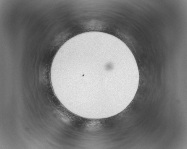 X0000080670162200701051017