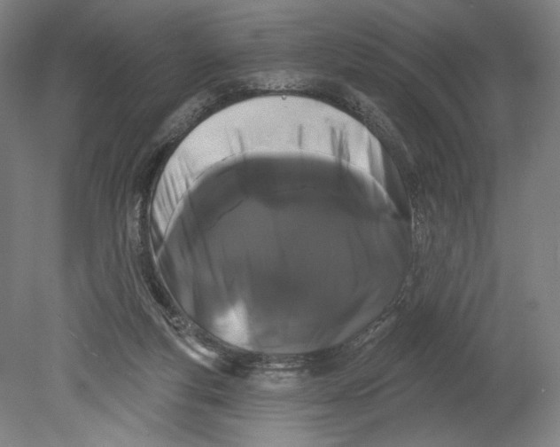 X0000080670163200701051017