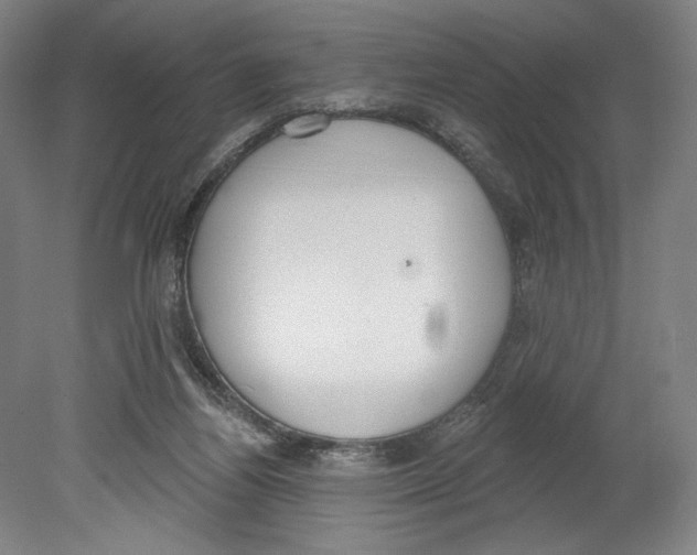 X0000080670164200701051017