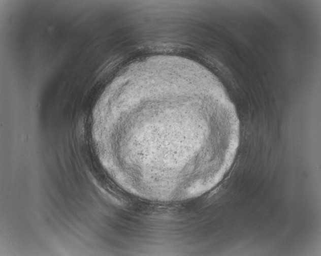 X0000080670166200701051017