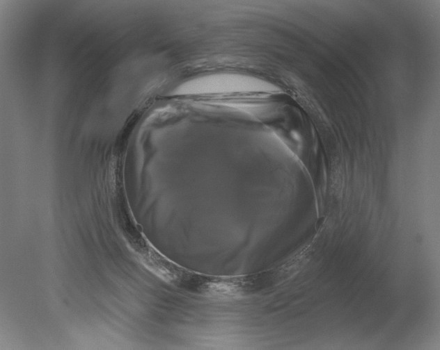 X0000080670167200701051017