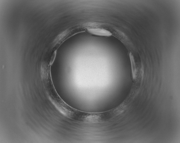 X0000080670168200701051017