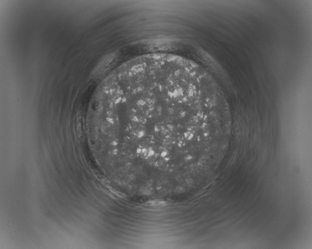 X0000080670169200701051017