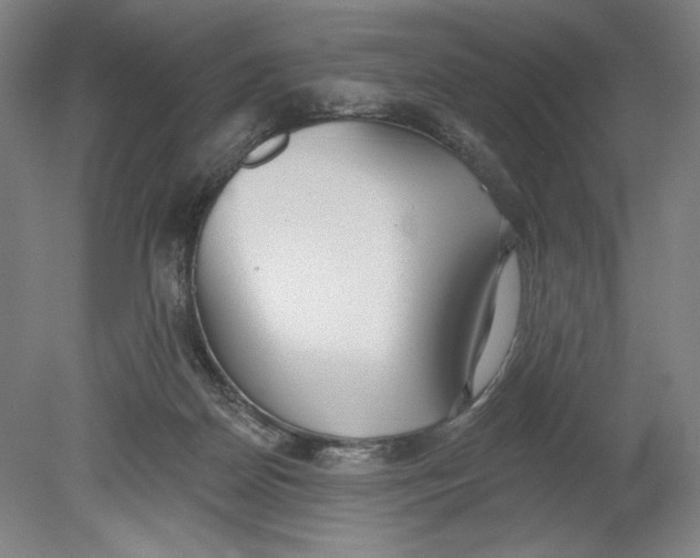 X0000080670170200701051017